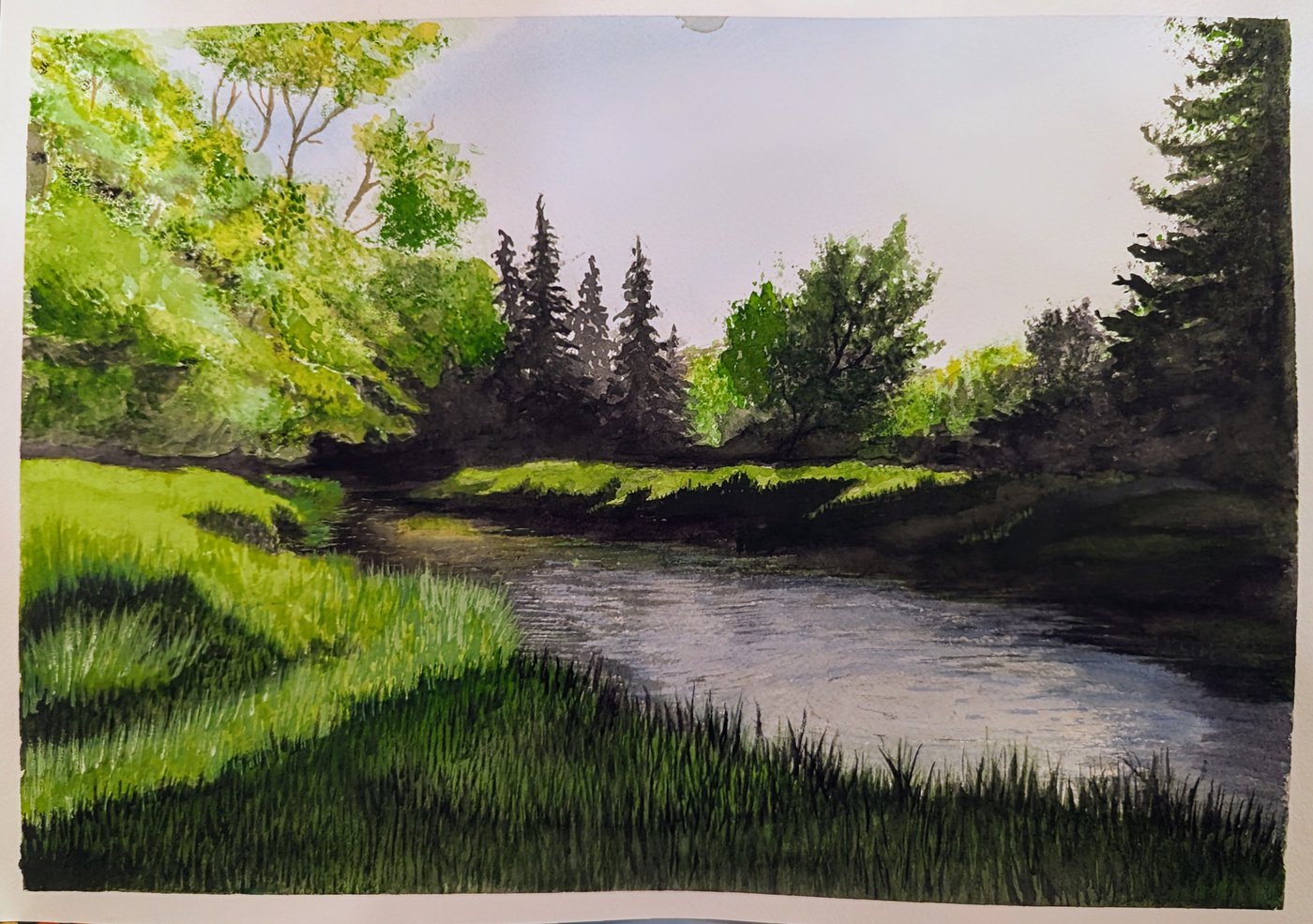 Landscape watercolor painting of pine trees along a stream with green grasses