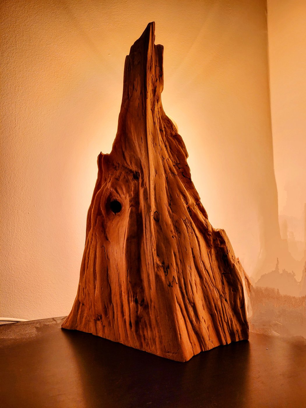 Natural-edge wooden sculpture lamp with warm backlighting showing the grain